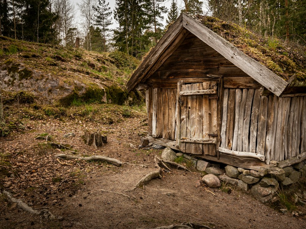 Perheen omakotitalo